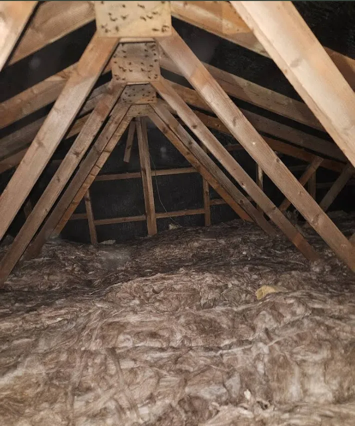 Roof Structure